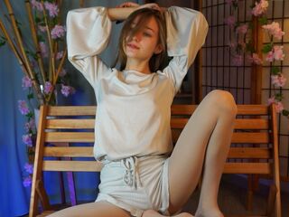 streaming live webcam LanNur